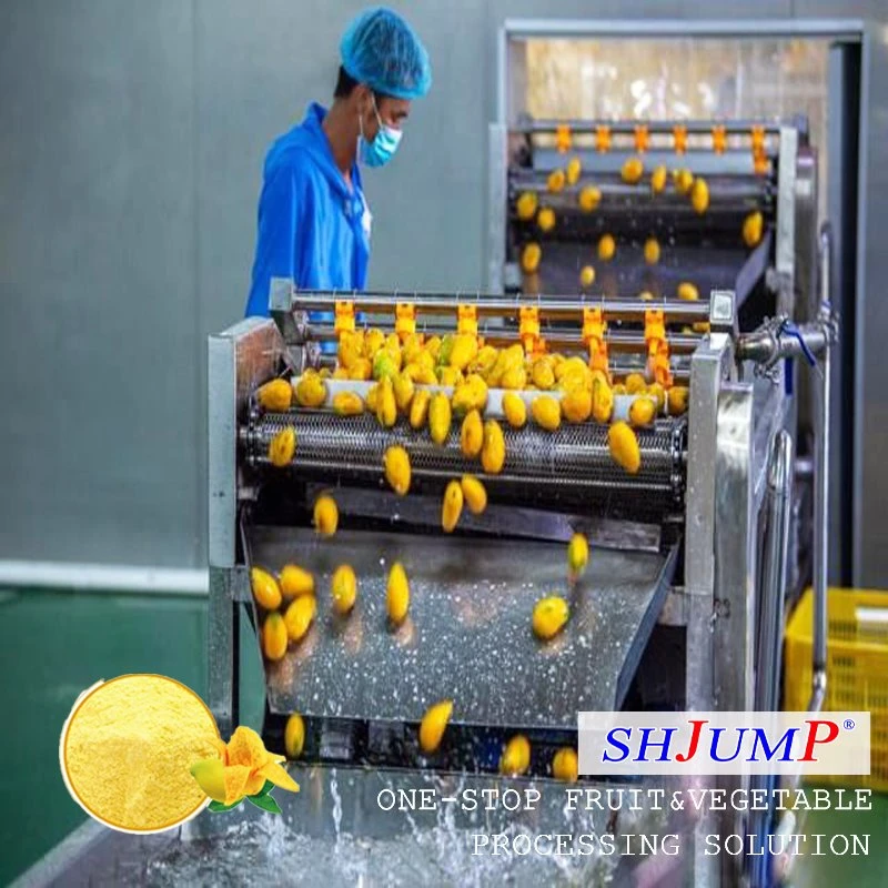 Mango pulbri töötlemise liin