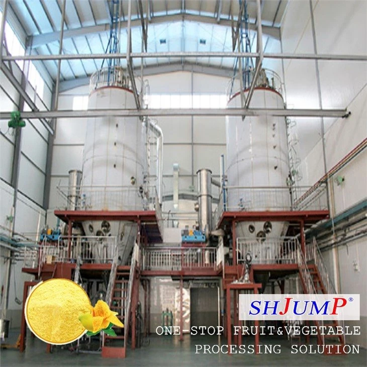 Mango Powder Processing Line