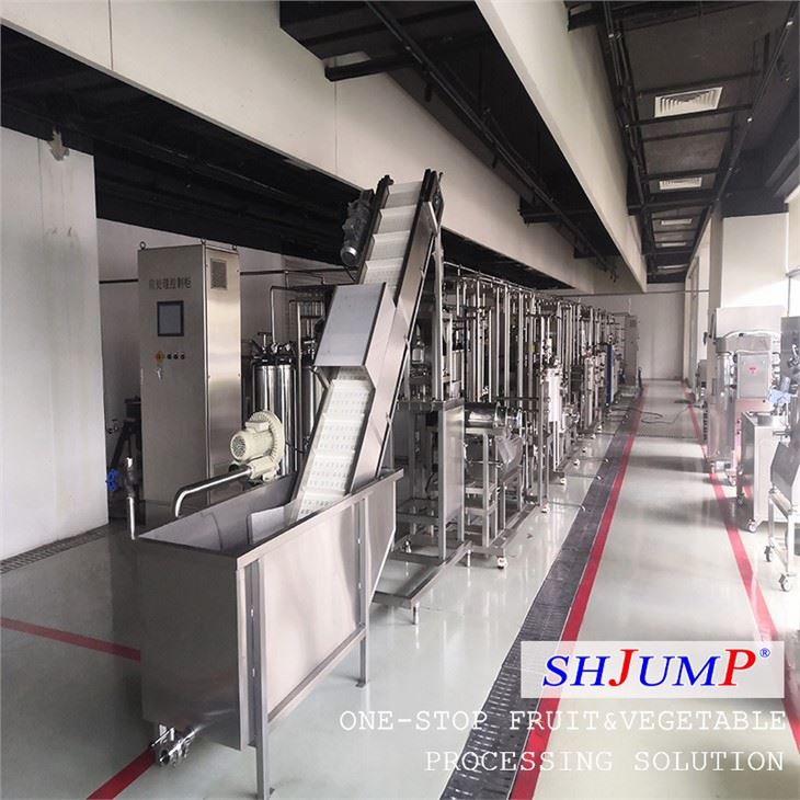Mobile Fruit Processing Factory